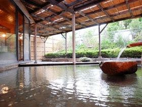 観水庭こぜにや