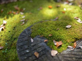 上牧温泉　旅籠　庄屋