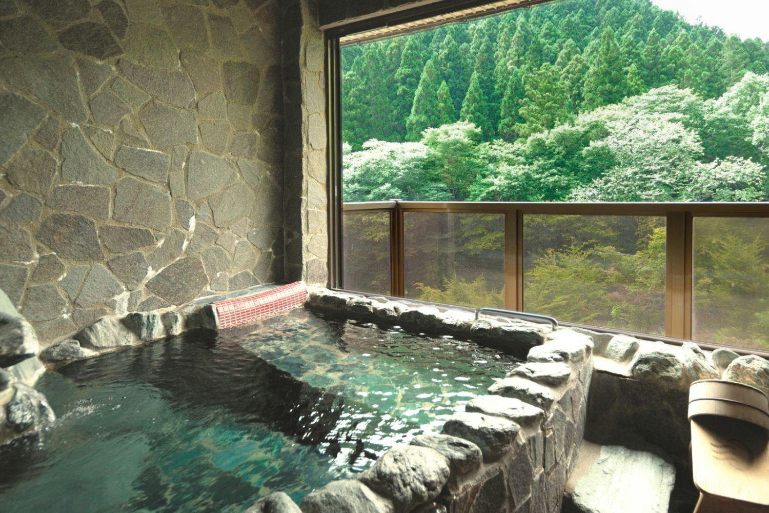 Hinoki no Yado Minakami Sansou