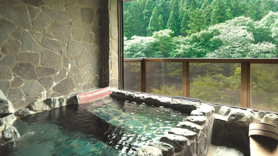 Hinoki no Yado Minakami Sansou