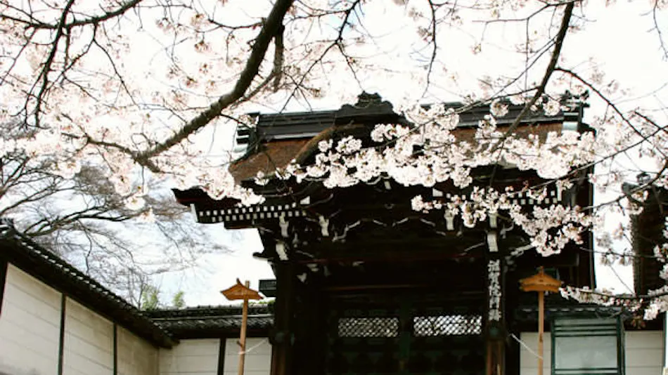 Ogoto Onsen Yumotokan