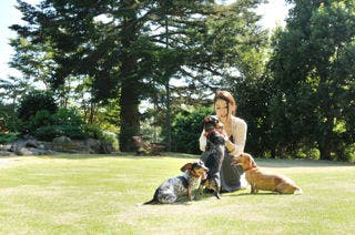 【 美食スタンダードプラン】愛犬OK無しも歓迎　日々の喧騒から離れる休日・伊豆牛を堪能！伝統フレンチ