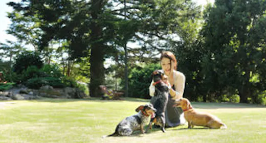 【 美食スタンダードプラン】愛犬OK無しも歓迎 日々の喧騒から離れる休日・伊豆牛を堪能!伝統フレンチ