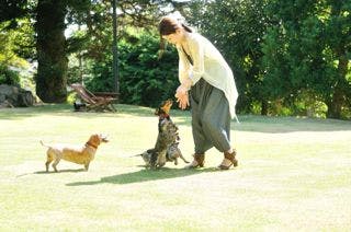 【シェフがお部屋で調理プラン】愛犬OK無しも歓迎　迫力あるメインの調理を目の前で披露するお部屋食