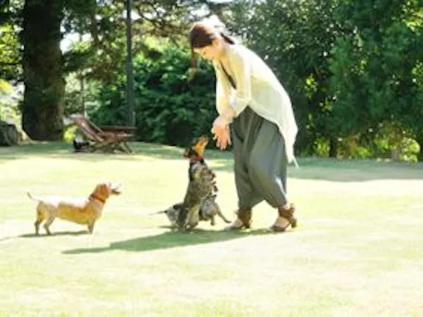 【シェフがお部屋で調理プラン】愛犬OK無しも歓迎 迫力あるメインの調理を目の前で披露するお部屋食