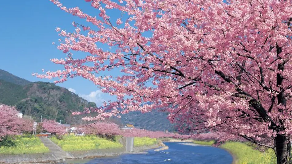 Izu Kogen Auberge Belle Equipe La Belle Equipe