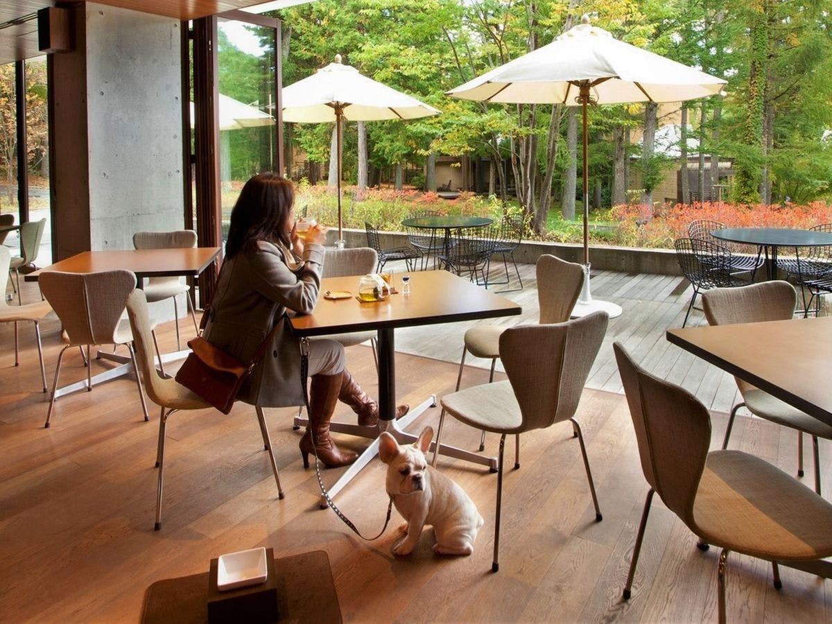 レジーナリゾート富士 Suites & Spa