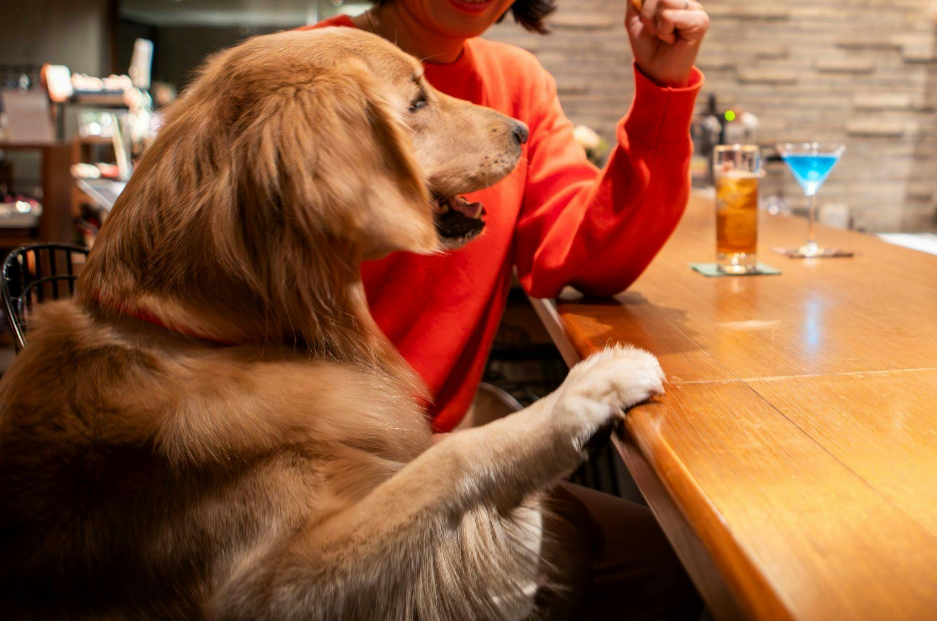 レジーナリゾート富士 Suites & Spa