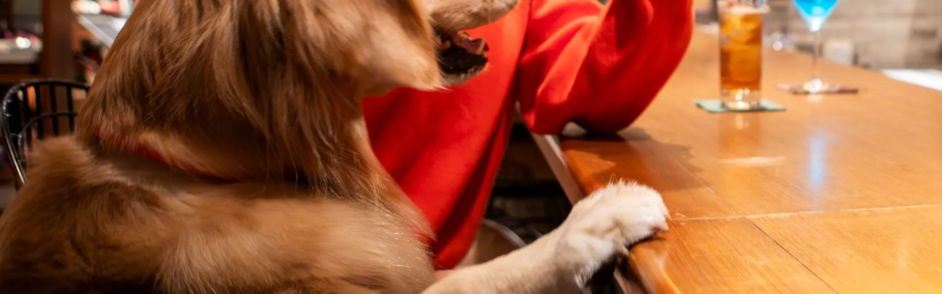 レジーナリゾート富士 Suites & Spa