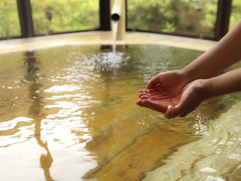Shinshu Togura Kamiyamada Onsen Kihinkan Ryotei Takano