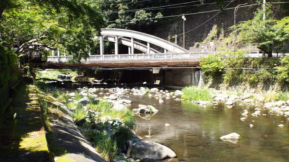 Hakone Yumoto Onsen Bansuirou Fukuzumi