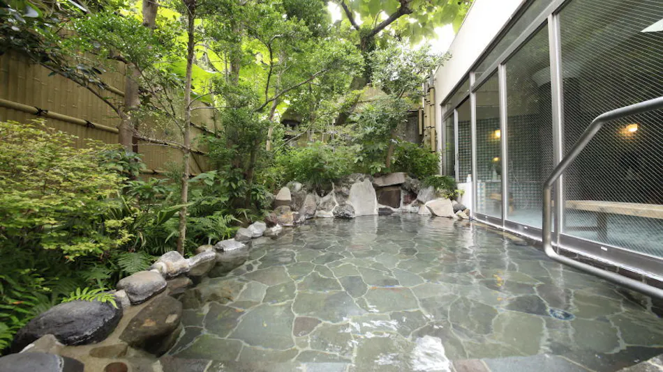 Hakone Yumoto Onsen Bansuirou Fukuzumi