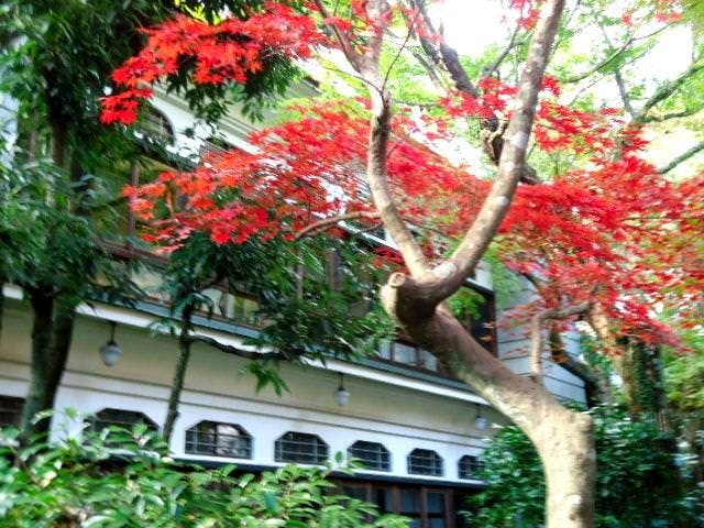 箱根湯本温泉 萬翠楼 福住