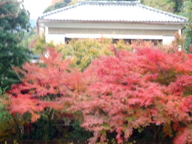 箱根湯本温泉 萬翠楼 福住