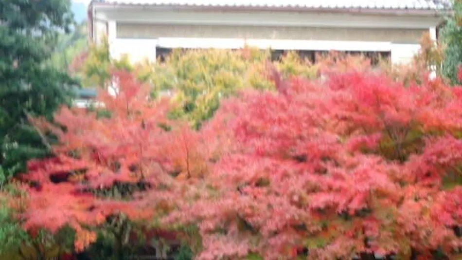 Hakone Yumoto Onsen Bansuirou Fukuzumi