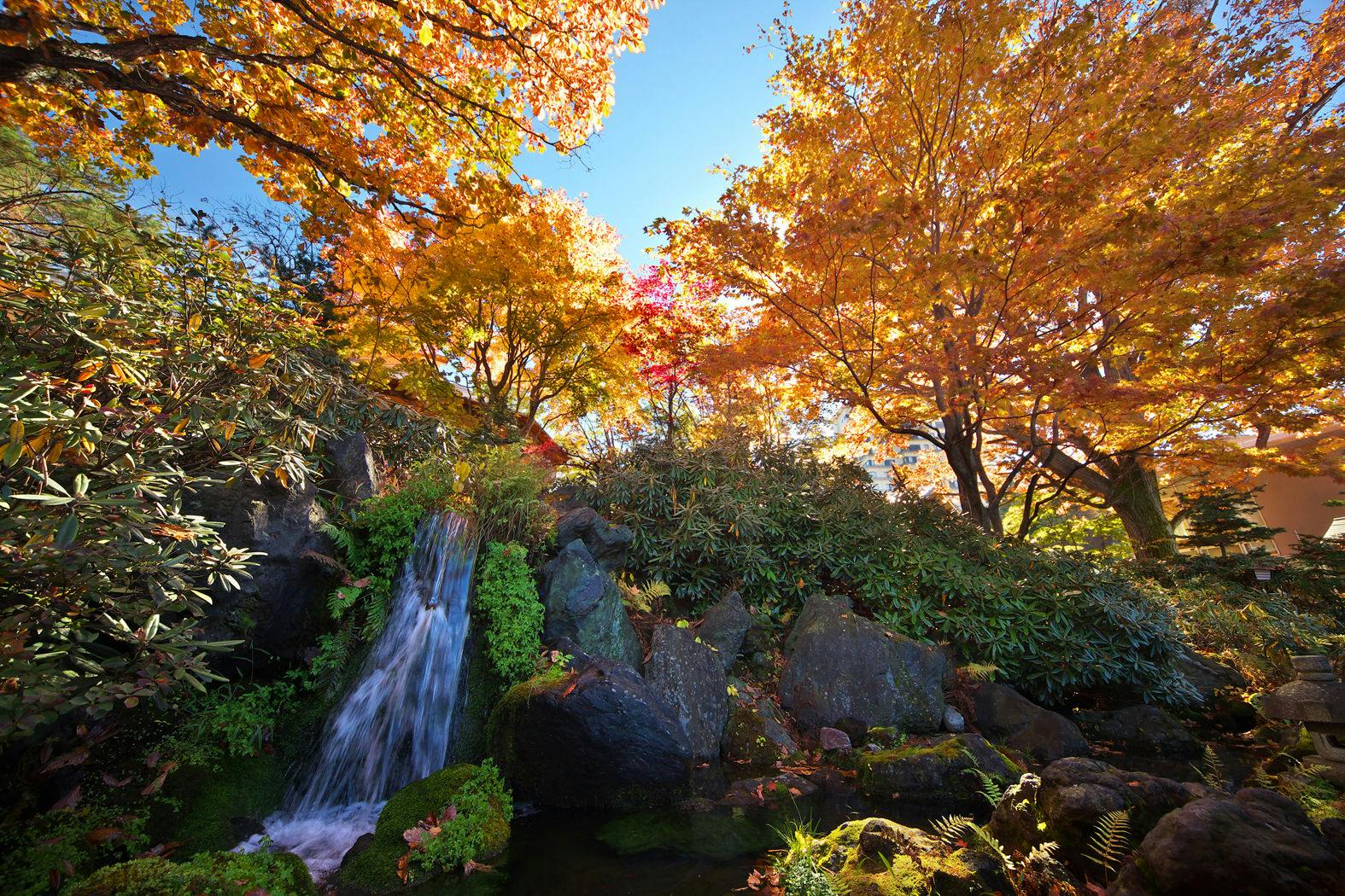 Sân trong - Mùa thu