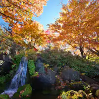 Sân trong - Mùa thu