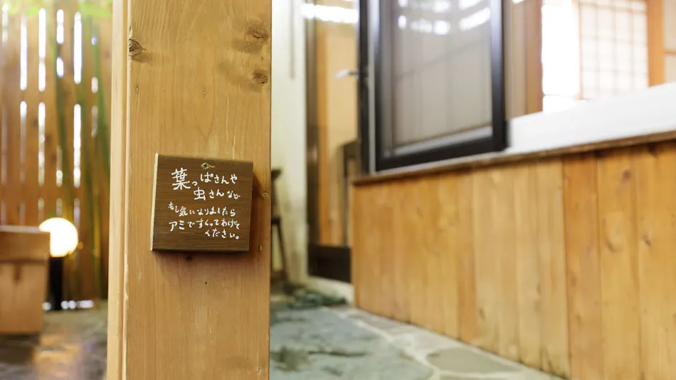 Petite Hotel C'est la Vie