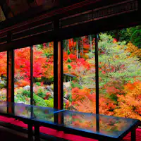 環境芸術の森の紅葉