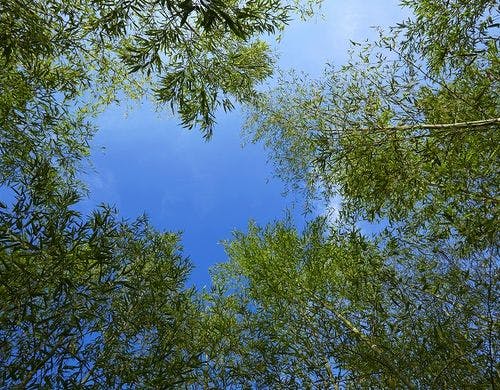 外観(イメージ)