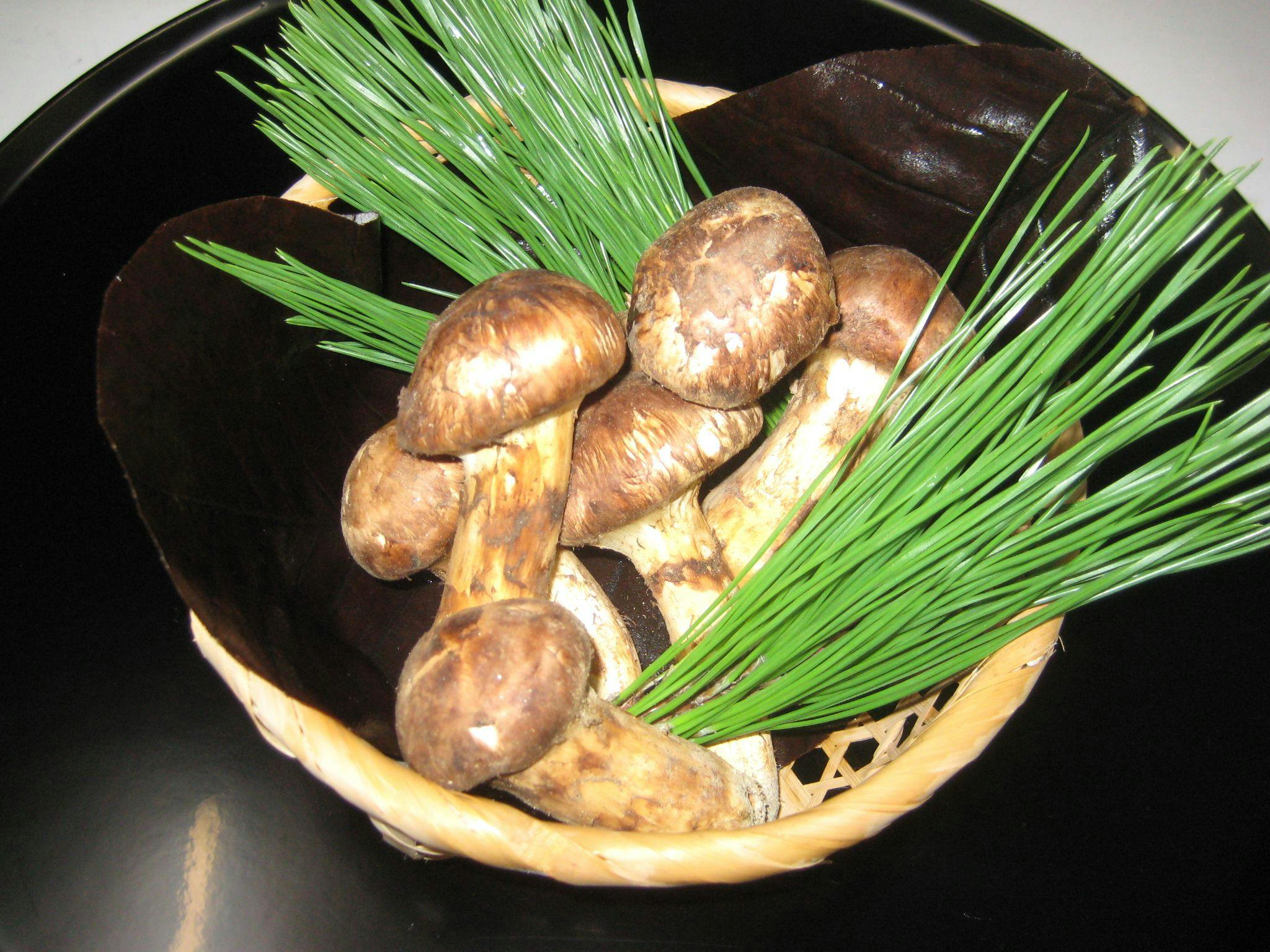 橋乃家別館　嵐翠