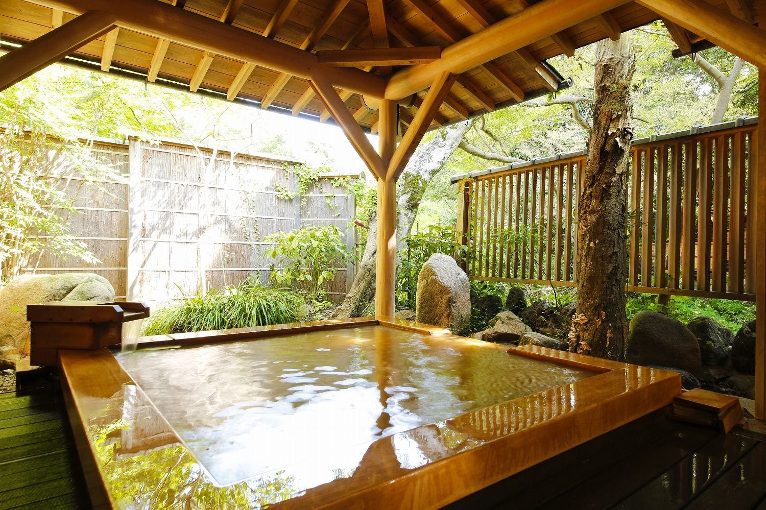 橋乃家別館 嵐翠