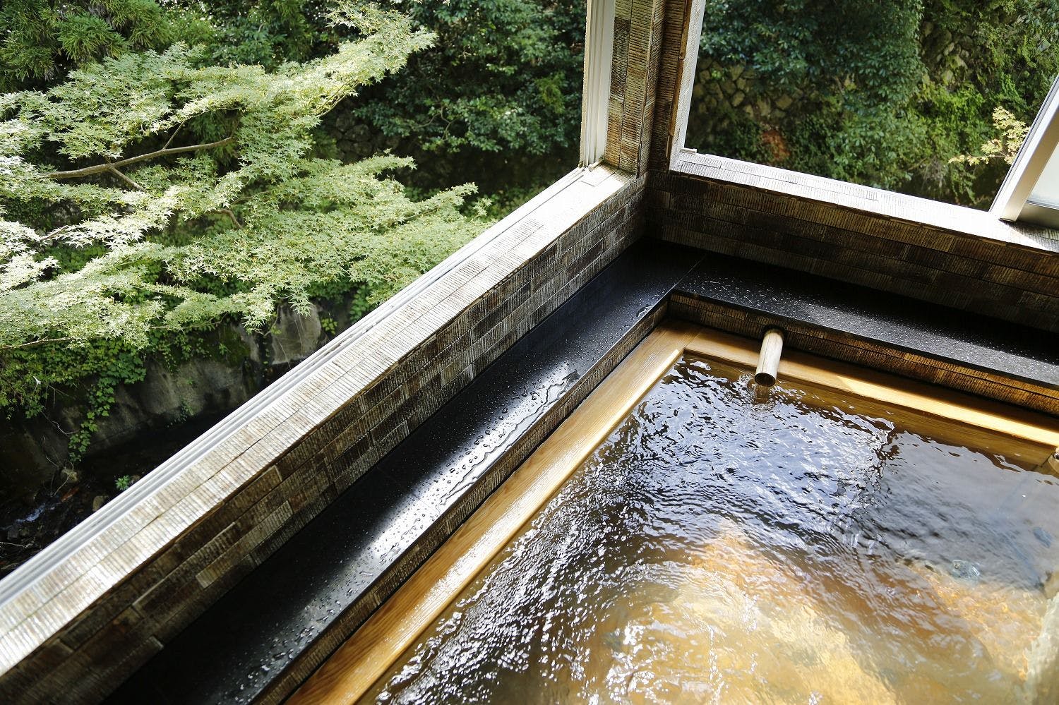 橋乃家別館　嵐翠
