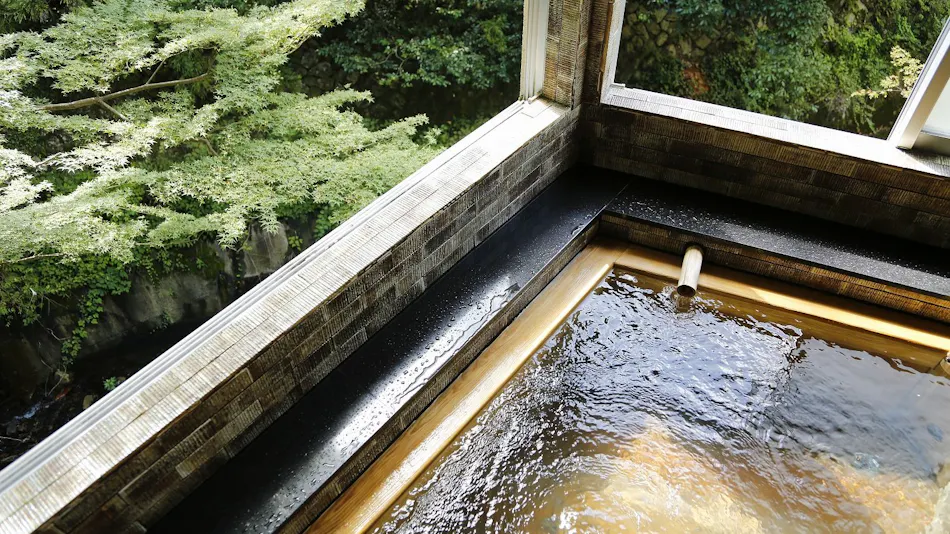 Hashinoya Annex Ransui