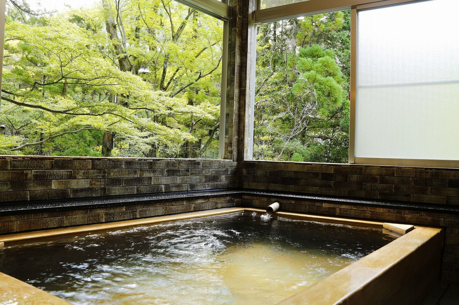 橋乃家別館 嵐翠