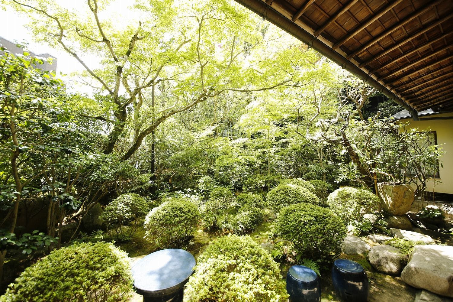 橋乃家別館　嵐翠