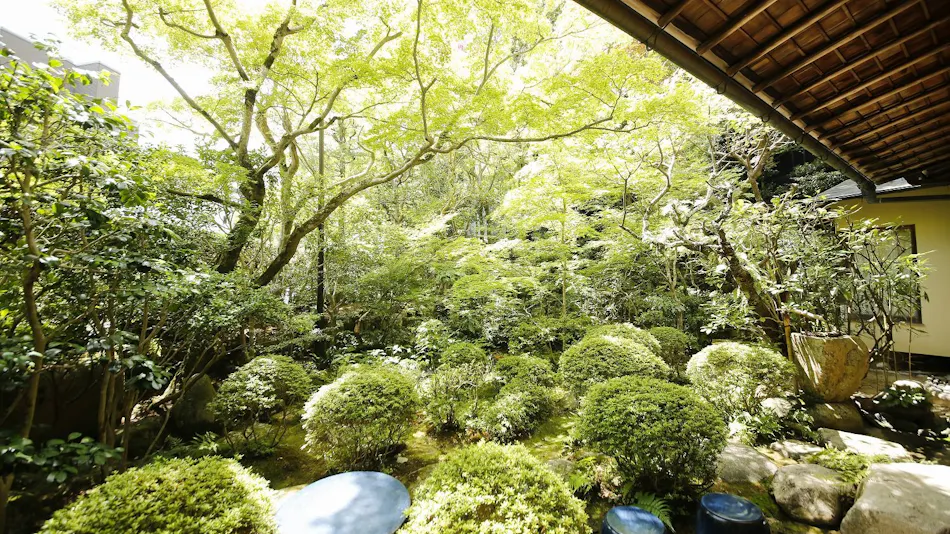 Hashinoya Annex Ransui