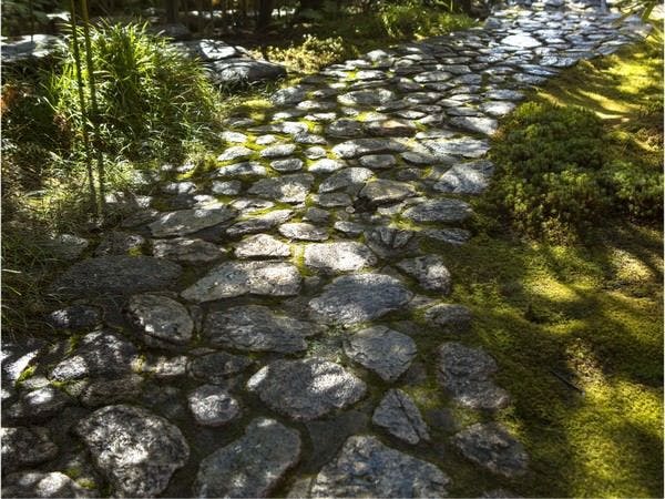 橋乃家別館　嵐翠