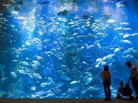 海と入り陽の宿　帝水