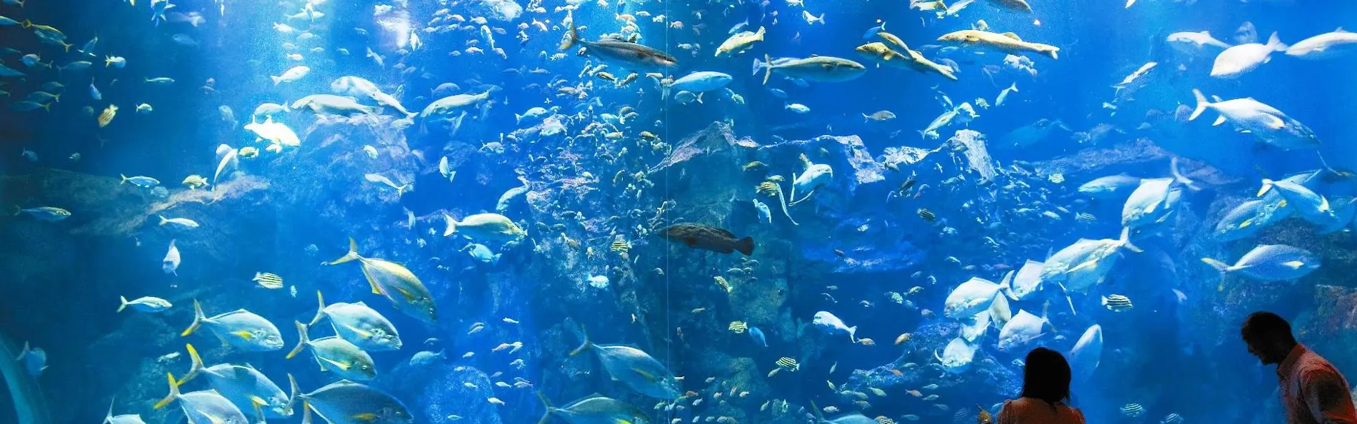 海と入り陽の宿 帝水 秋田男鹿半島 戸賀湾を見下ろす絶景の温泉旅館