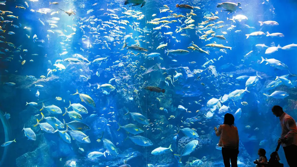 Seaside Sunset Inn Teisui - Spectacular Onsen Ryokan Overlooking Toga Bay, Oga Peninsula, Akita