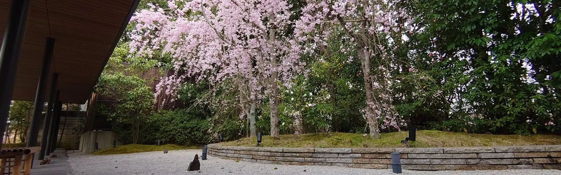 ホテルハーヴェスト京都鷹峯