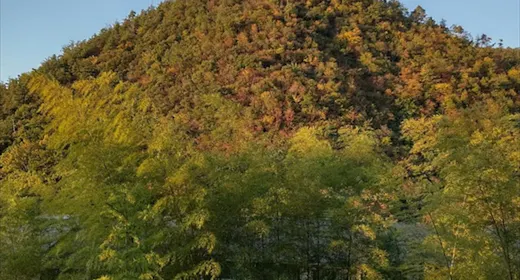 Hotel Harvest Kyoto Takagamine