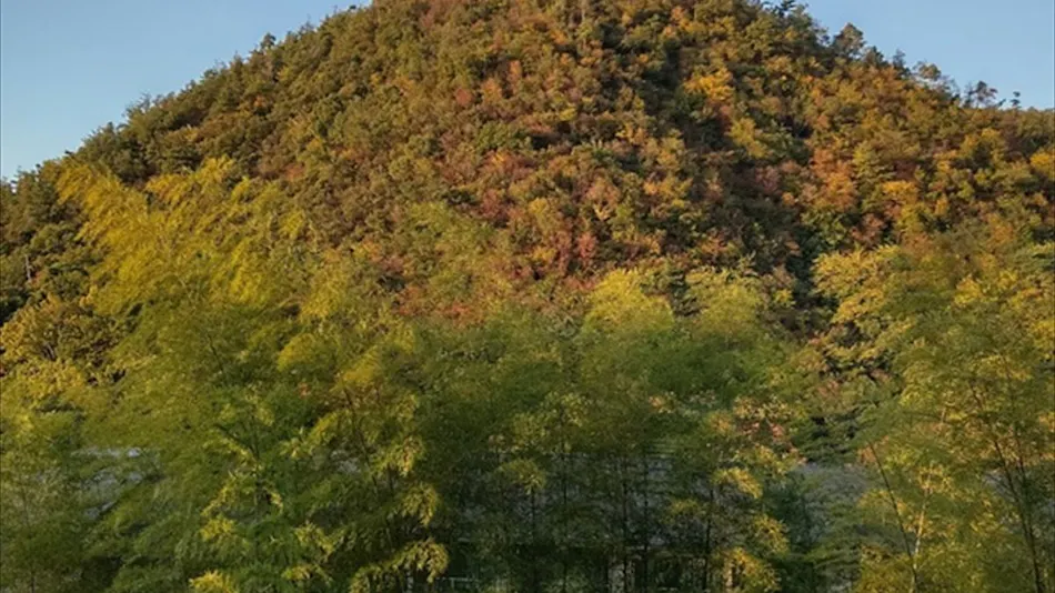 Hotel Harvest Kyoto Takagamine