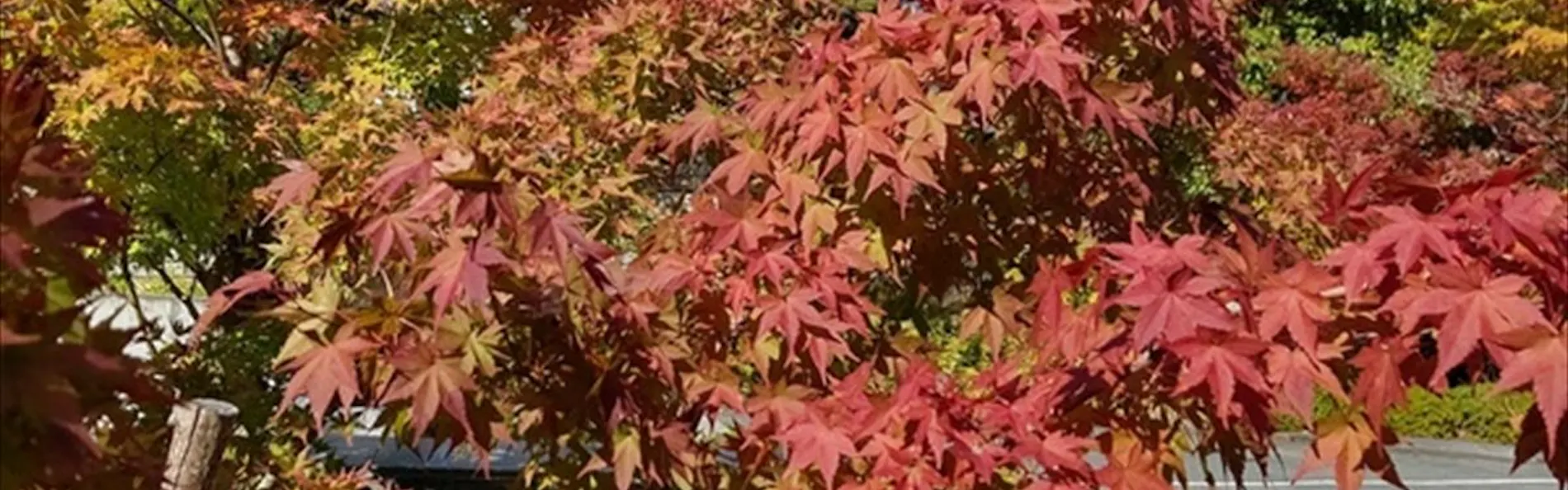 ホテルハーヴェスト京都鷹峯