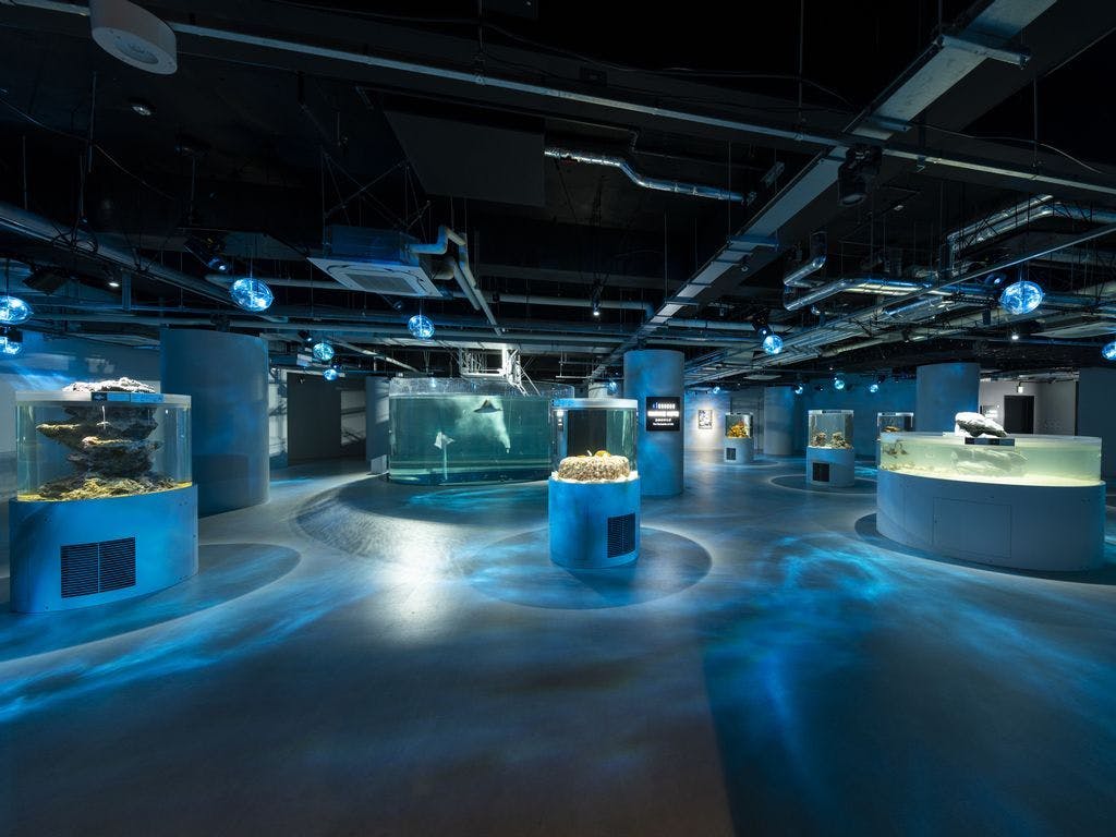 アクアリウム atoa