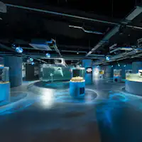 アクアリウム atoa