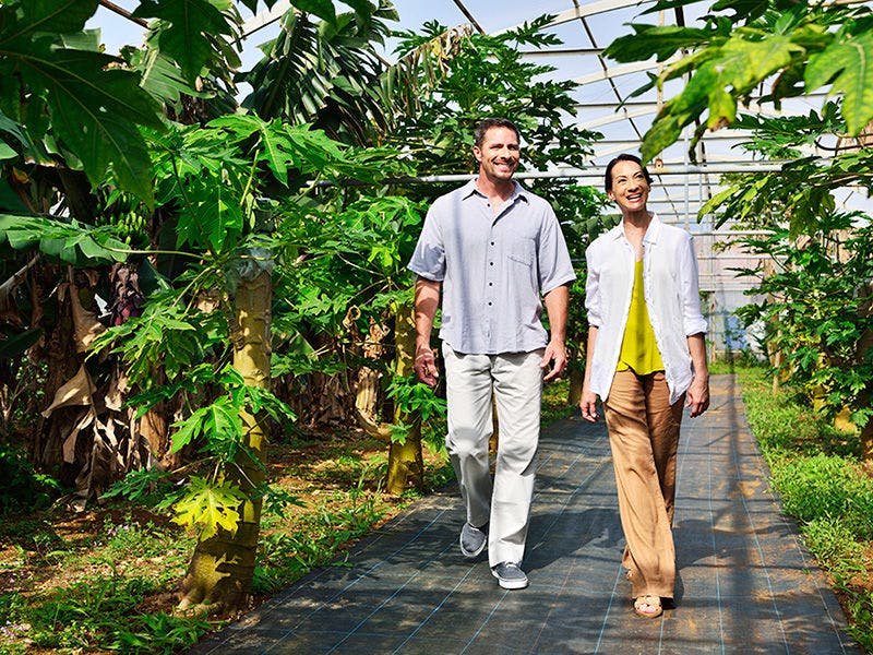 農場「OUR FARM」