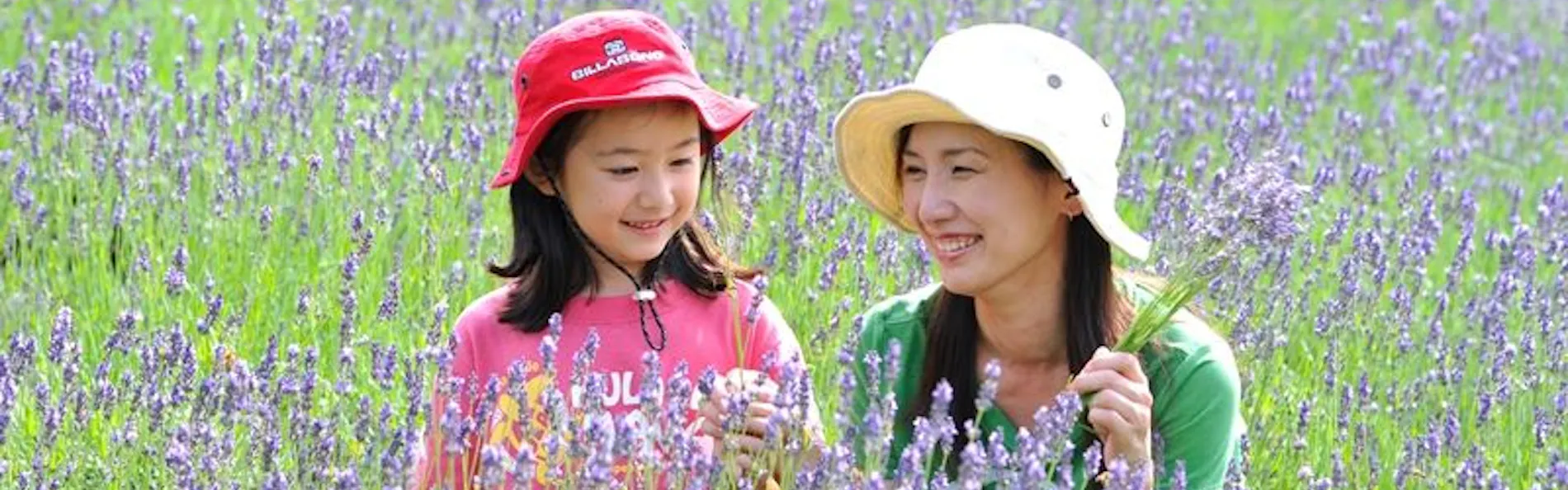 ホテルハーヴェスト斑尾