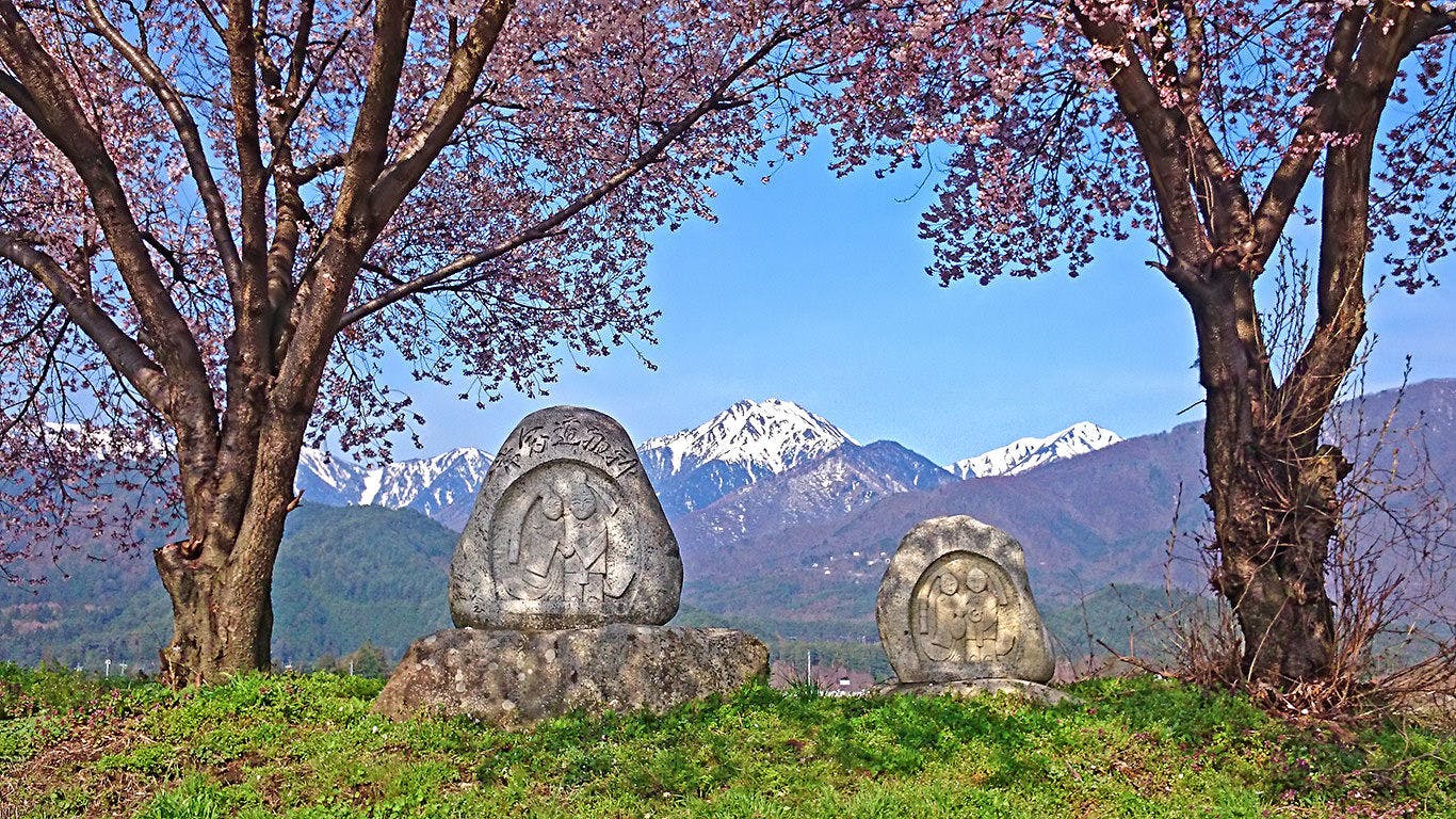 โจเน็นโดโซจินและดอกซากุระในฤดูใบไม้ผลิ