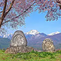 โจเน็นโดโซจินและดอกซากุระในฤดูใบไม้ผลิ