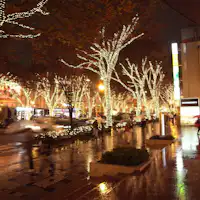 表参道イルミネーション