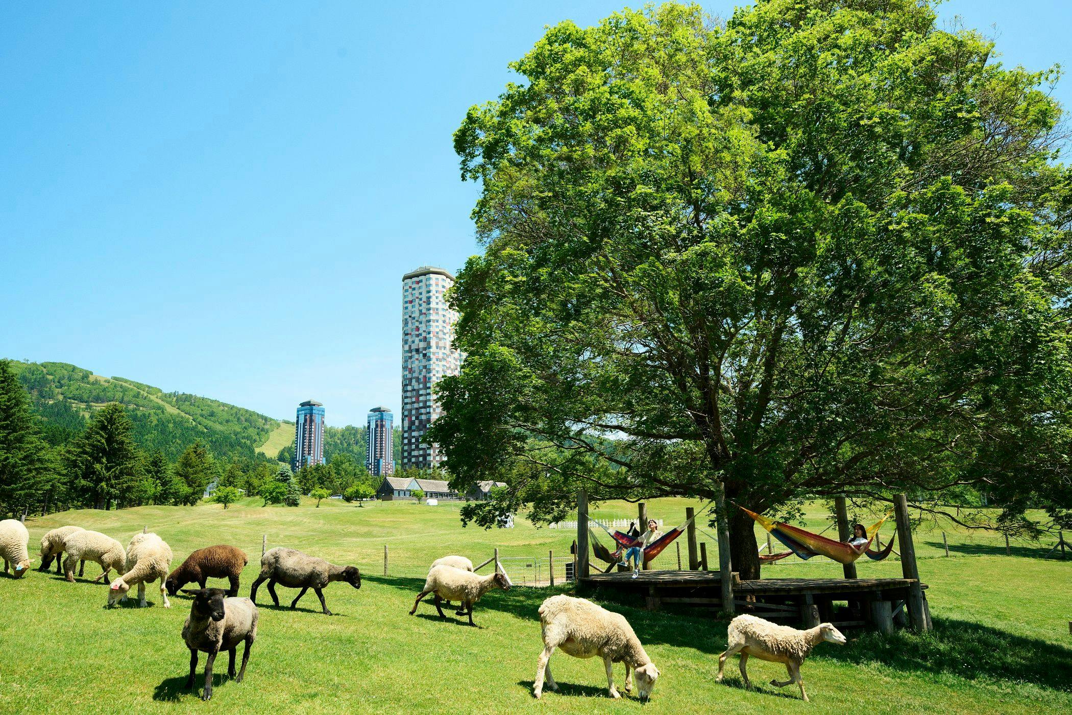 【トマム】ファームエリア