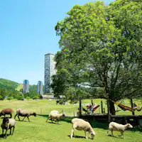 【トマム】ファームエリア