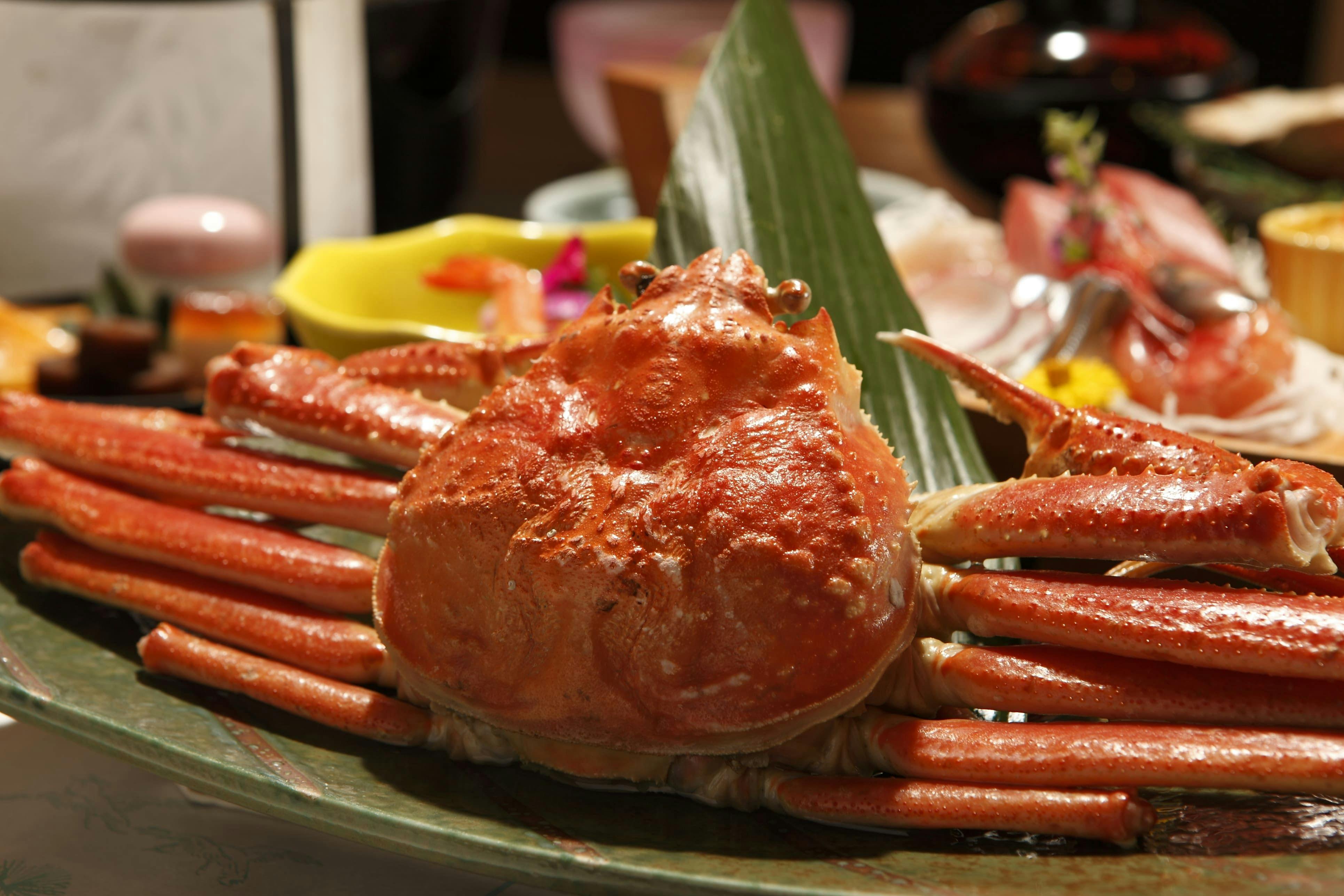 牧水荘 土肥館