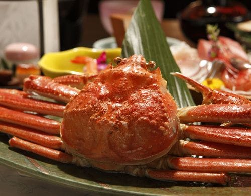 【料理一例】
